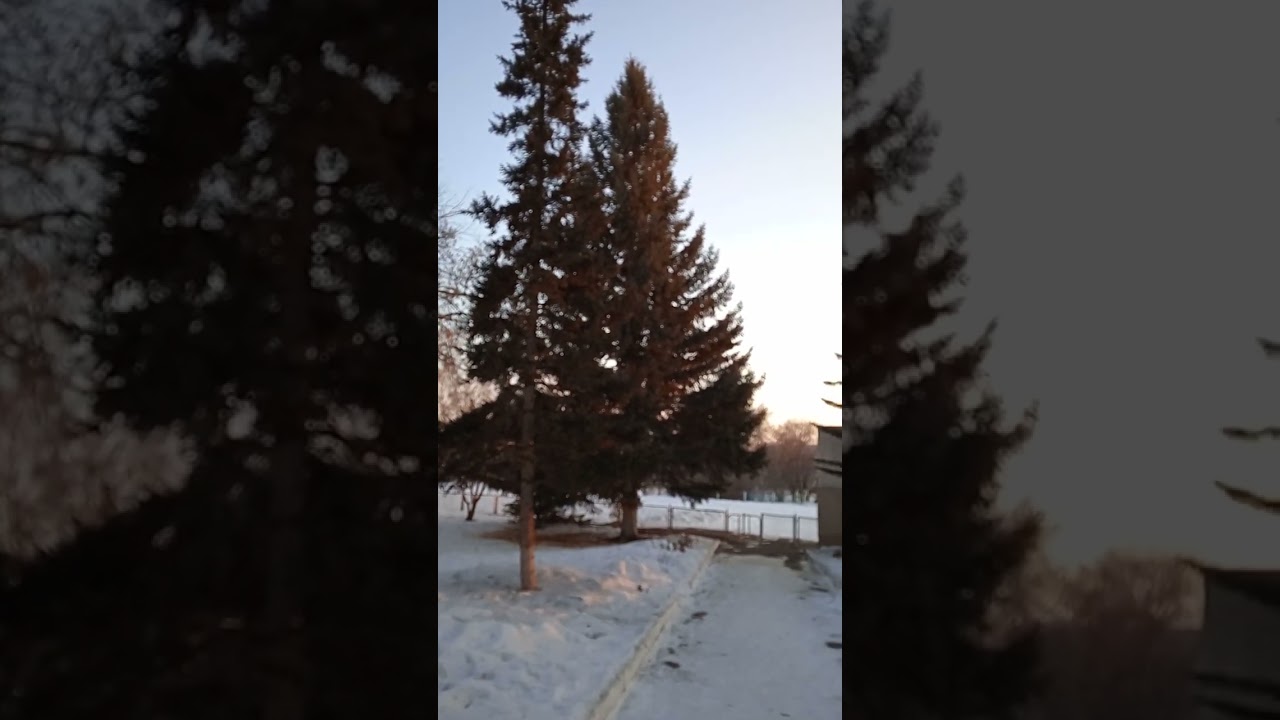Подсосново Немецкий национальный район🌾И это Россия🇷🇺 Алтайский край🌾😍