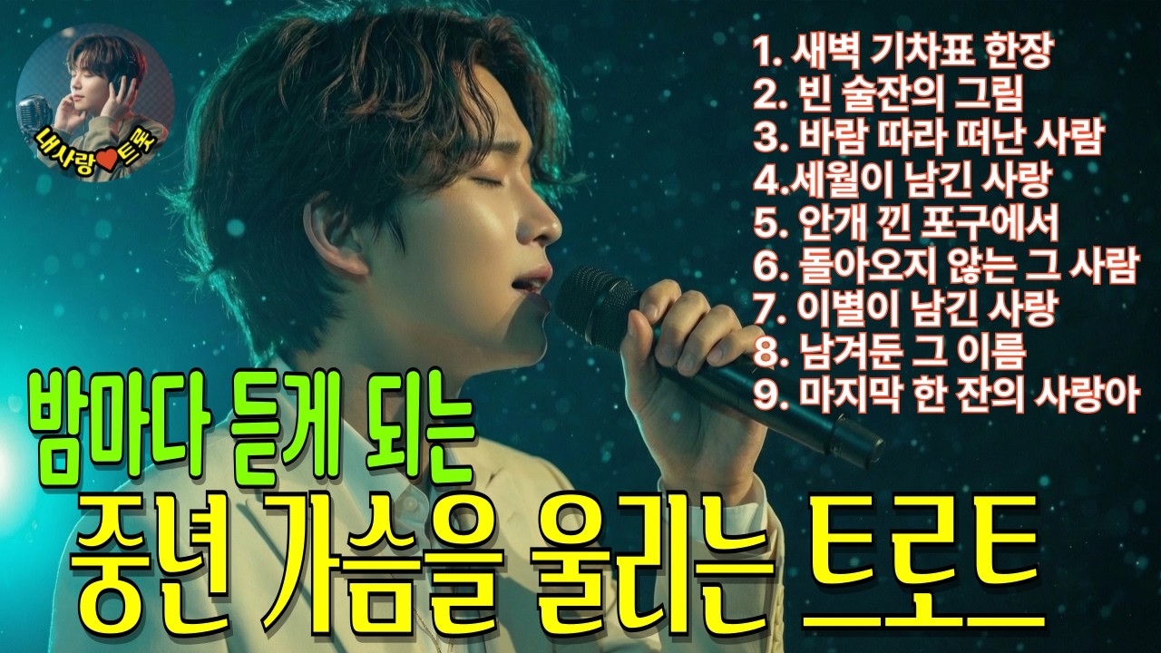 📀밤이 되도록 듣게 되는 가슴 먹먹한 트로트｜중년의 가슴을 적시는 감성 모음곡