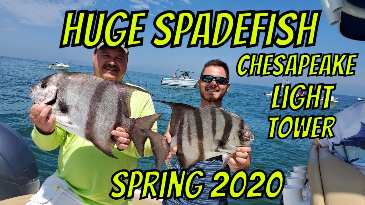 Spadefish Chesapeake Light Tower 2020