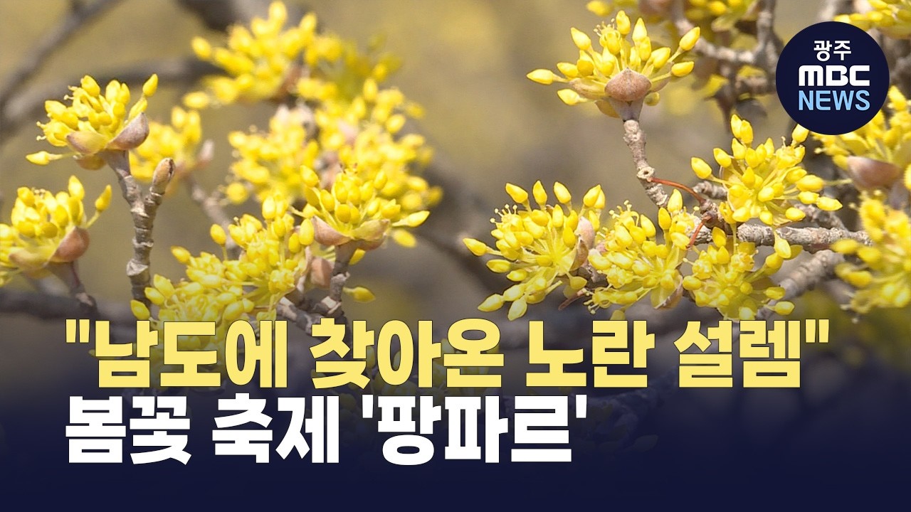 남도에 찾아온 봄.. 주말부터 봄꽃 축제 릴레이 (뉴스데스크 2026.3.13 광주MBC)