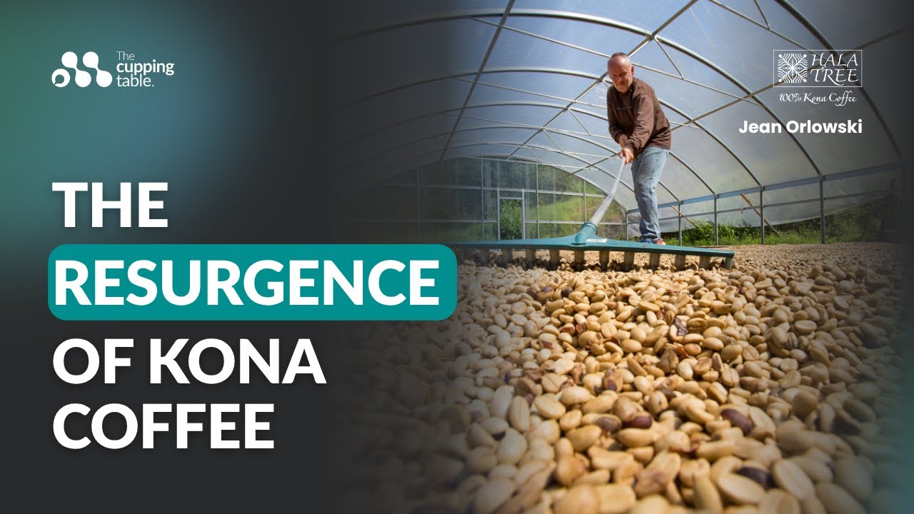 Hala Tree | The Resurgence of Kona Coffee