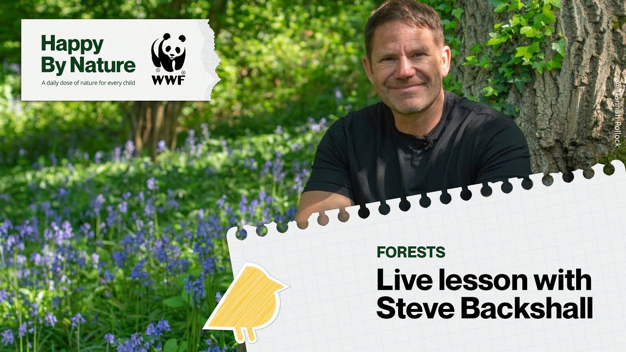 Forests Live Lesson With Steve Backshall | Happy By Nature
