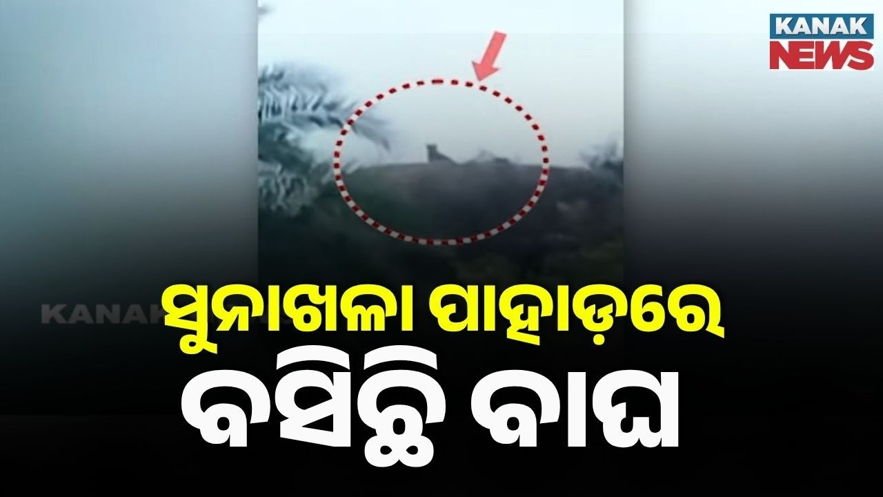 Leopard Spotted On Sunakhala Hill In Ganjam! | Forest Dept On Alert | Odisha News
