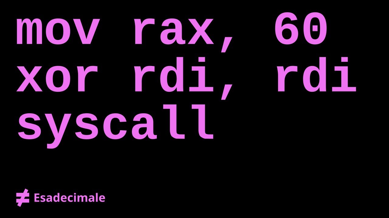 Programmazione Assembly (x86 e x86-64)