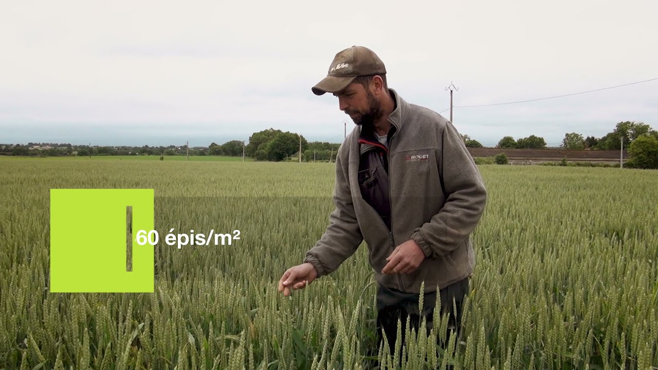 Ils ont choisi le blé hybride #Saison2 : une campagne avec Christophe Godin - Episode 3