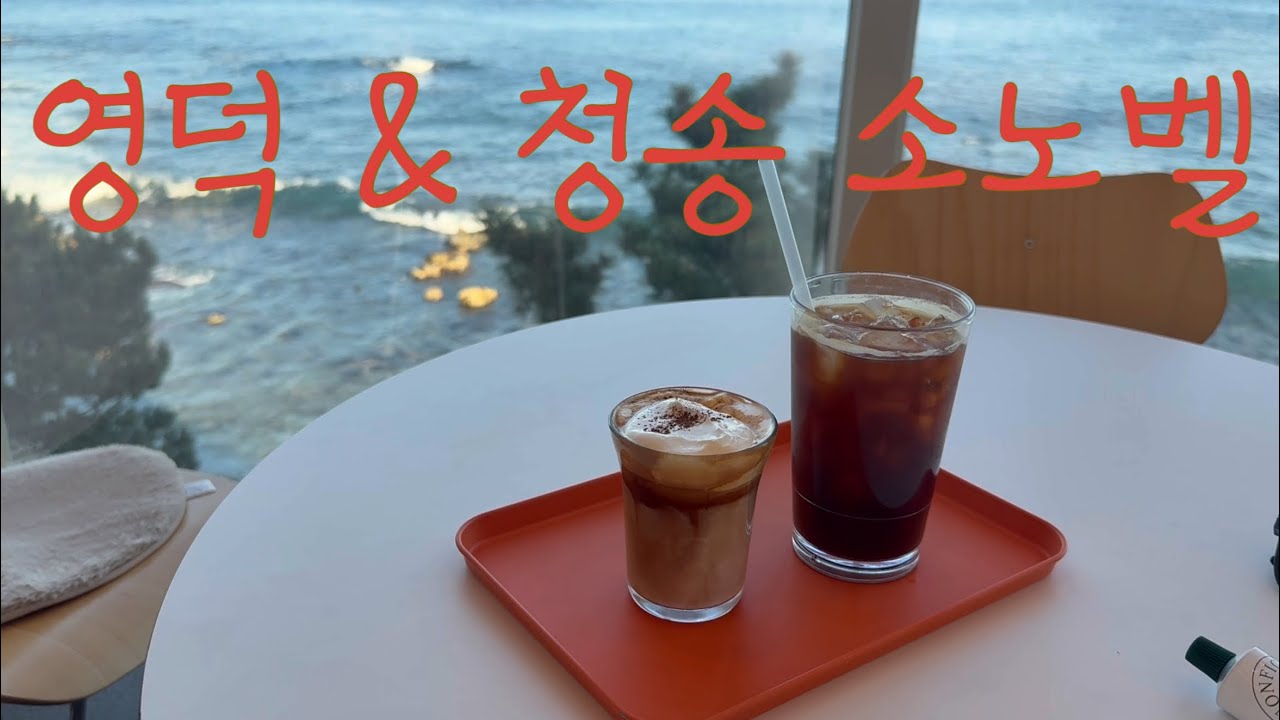[VLOG] 영덕&청송 여행ㅣ영덕 대게 진일 대게회, 카페보움, 청송 소노벨 스위트 스탠다드, 솔샘온천