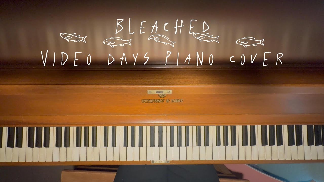 Bleached - Video Days
