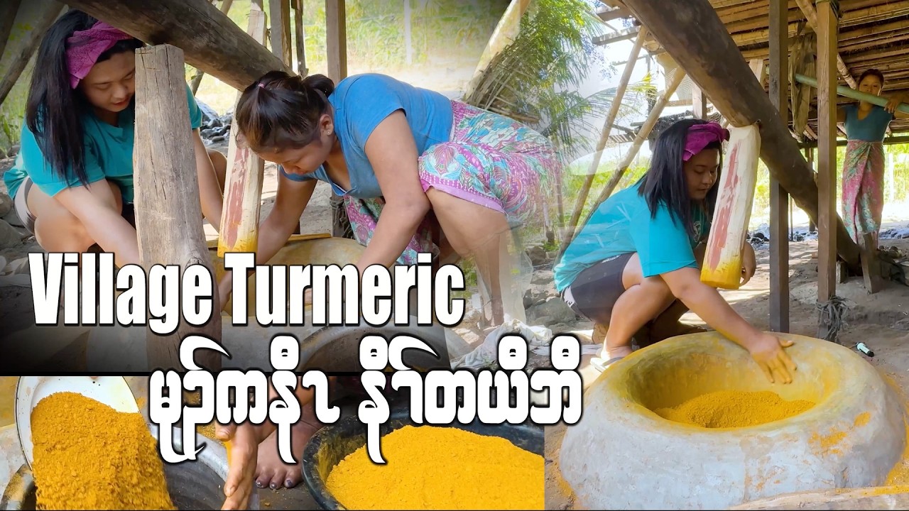 Making Turmeric Powder | Traditional Village Way