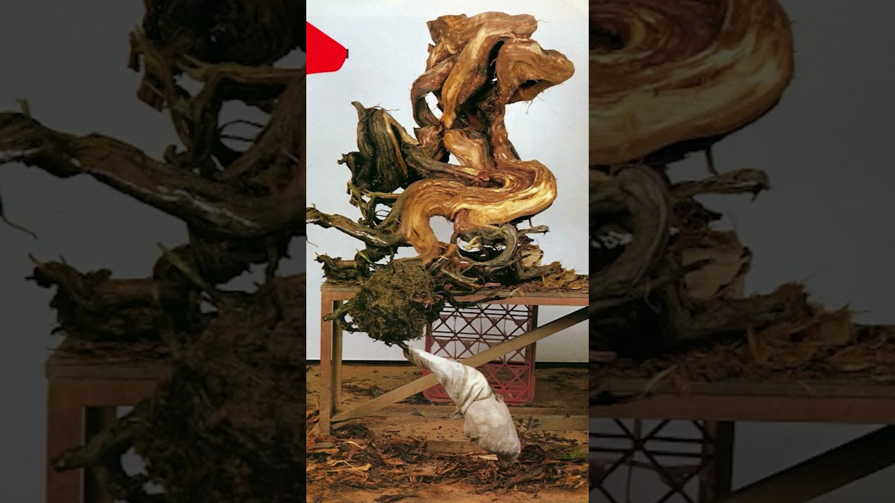 El dise&ntilde;o que cambi&oacute; la historia del #BONSAI