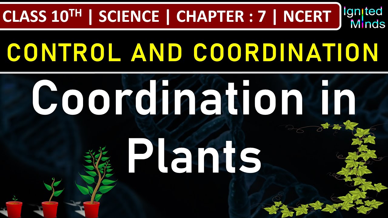 Class 10th Science | Coordination in Plants | Chapter 7 : Control and Coordination | NCERT