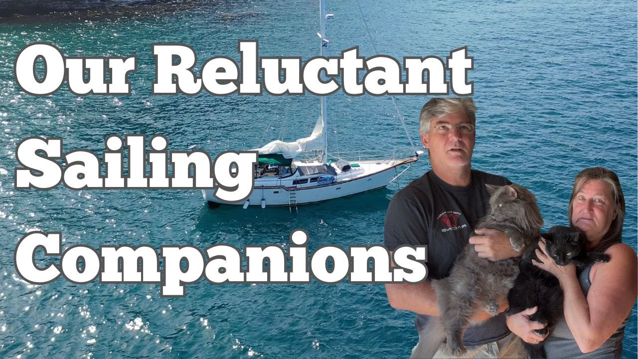 S4, Ep42 Our Soon to be Sailing Cats