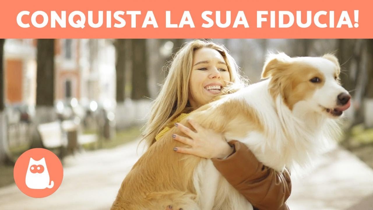 5 CONSIGLI per CONQUISTARE la FIDUCIA di un CANE 🐶✅