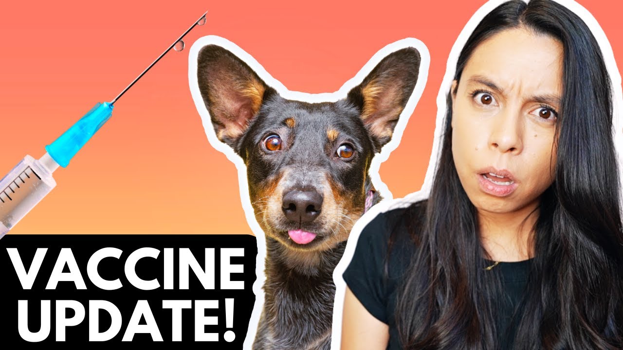 *UPDATED* Pet Vaccine Protocol