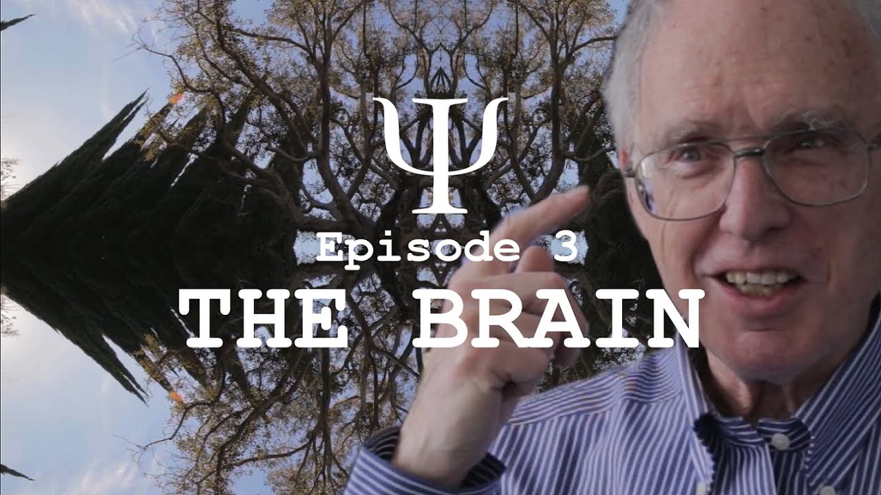 PSI Episode 3: THE BRAIN - Is There Any Randomness in Our Neurons?
