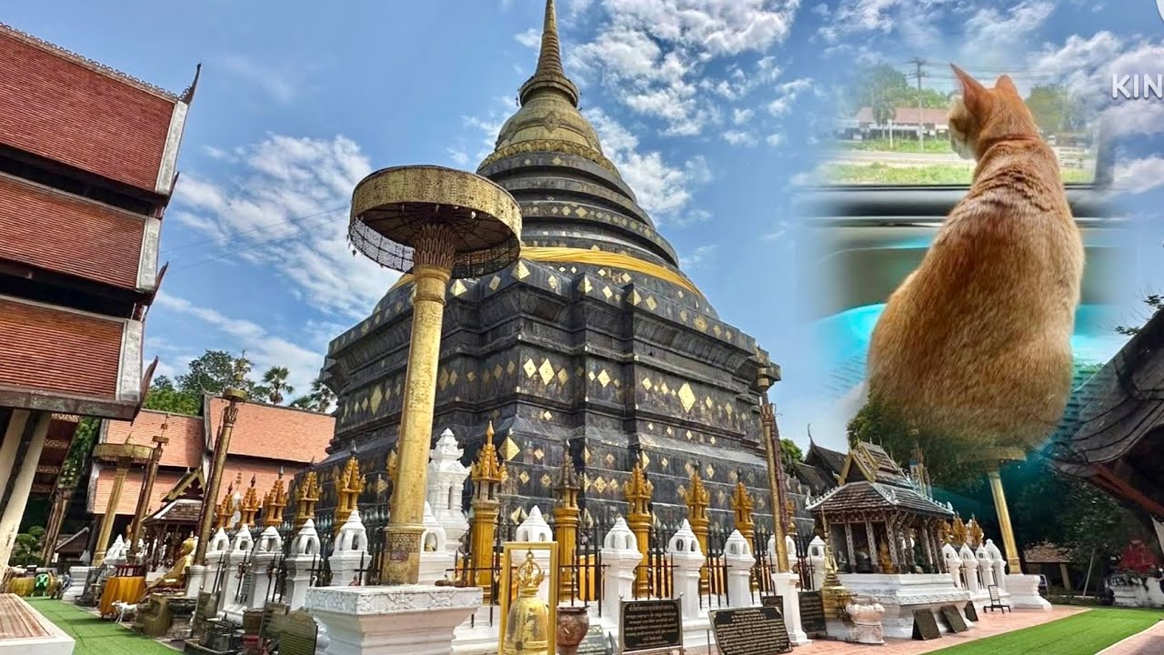 141. A fun trip with my cat, experiencing 3 different cultures  in Chiang Mai and Lampang