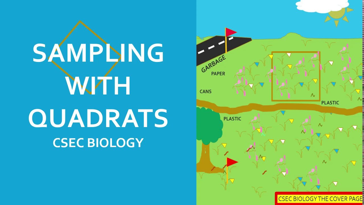 How to find species density