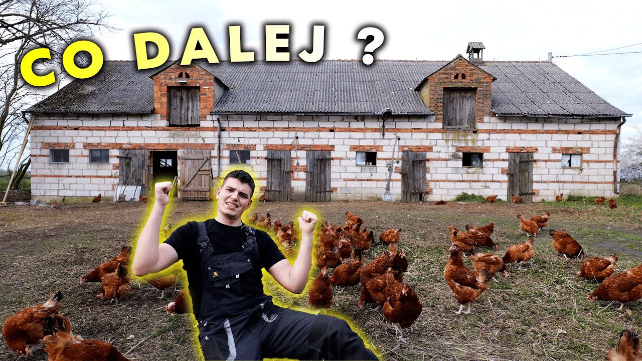 CO PLANUJĘ... Na zielonym wzgórzu ? - Czy dalej produkcja jaj ?