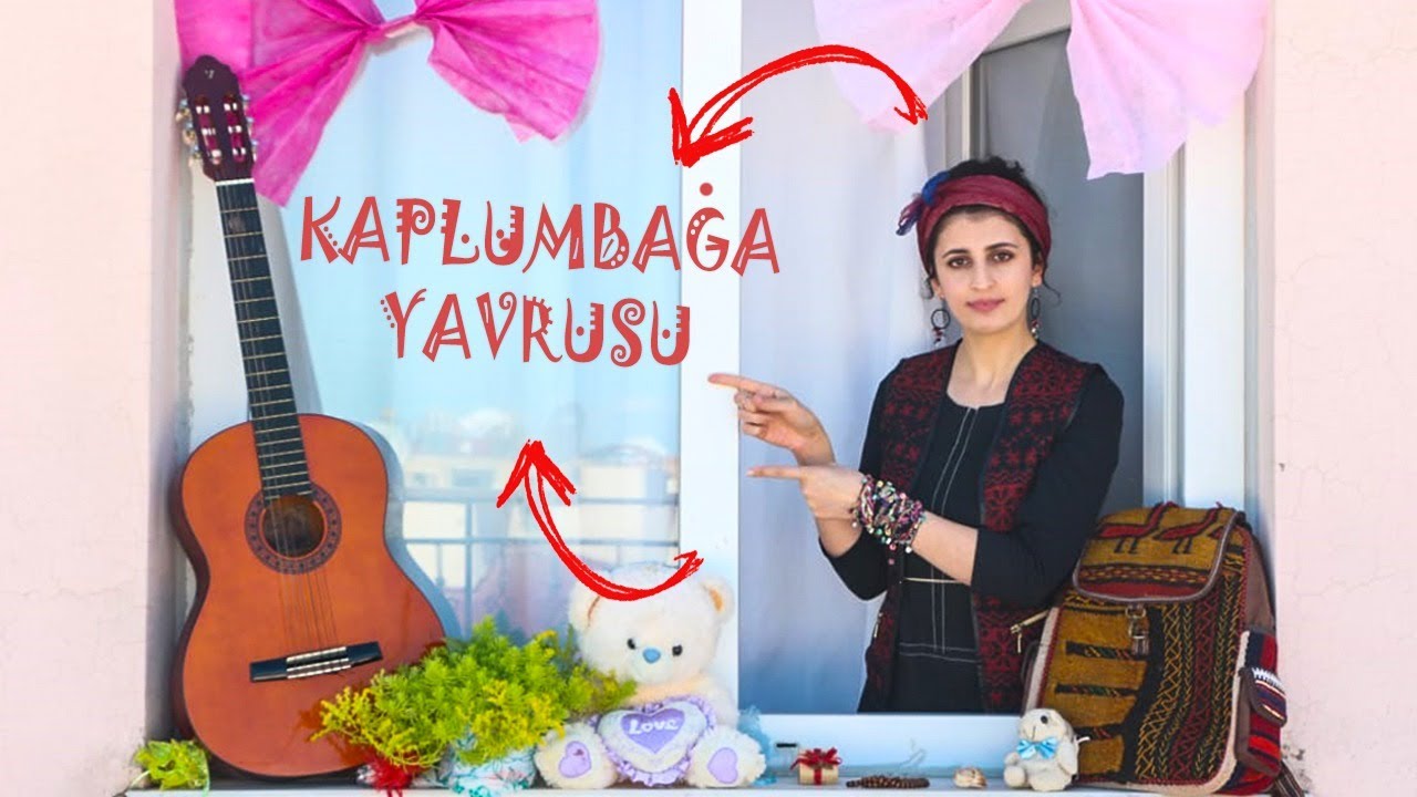 Kaplumbağa Yavrusu