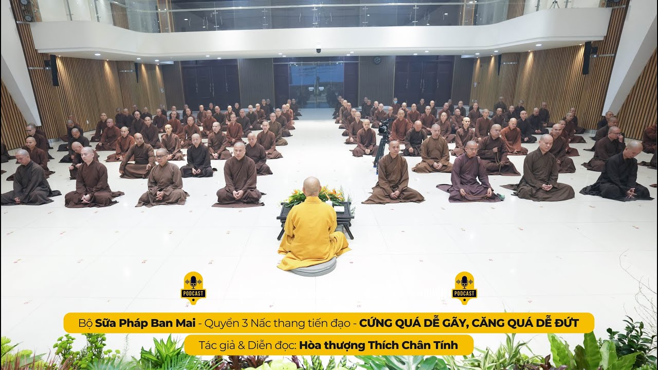 Podcast 294 I CỨNG QUÁ DỄ GÃY, CĂNG QUÁ DỄ ĐỨT I Tác giả & Diễn đọc - Hòa thượng THÍCH CHÂN TÍNH