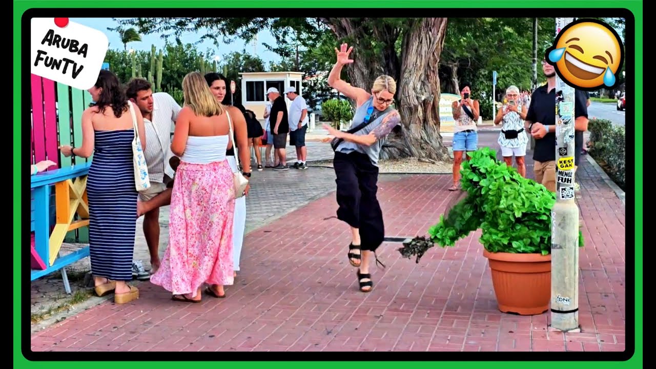 Bushman Prank Aruba: Funny Reactions 2025