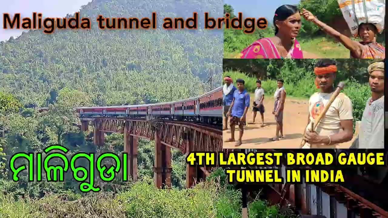 Maliguda Tunnel and bridge koraput odisha | Maliguda Odisha | Maliguda Tunnel Odisha | Maliguda Vlog