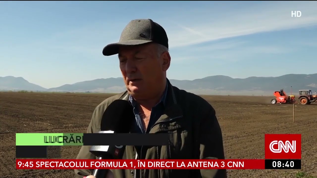 Cultivarea unui hectar cu cartofi a ajuns să coste 40.000 de lei în 2024
