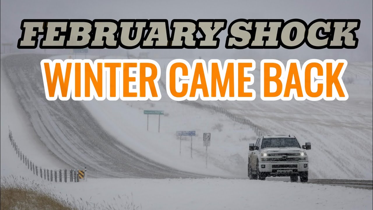 After Weeks of Warm Weather, a Snowstorm Hits Alberta | Driving Through Whiteout Conditions🇨🇦