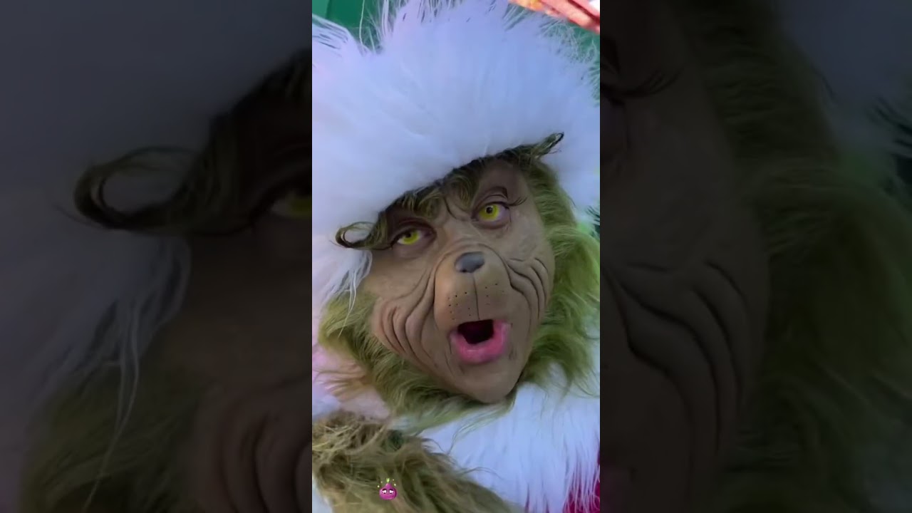Universal Studios Grinch fun moments🤣💕