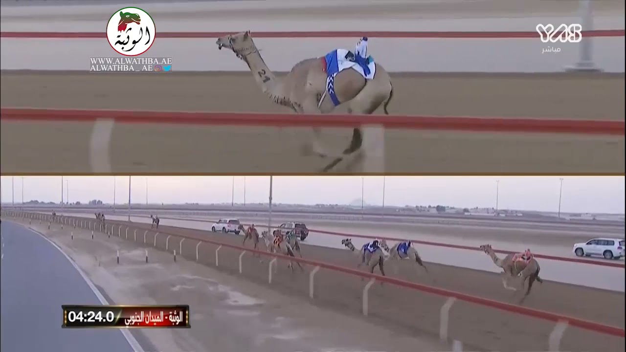 الشوط 2 (الغاليه) لـ فارس دخيل الله القرشي 6:2:2 ، تأهيلي الوثبة 2021/9/18 الوثبة ايذاع