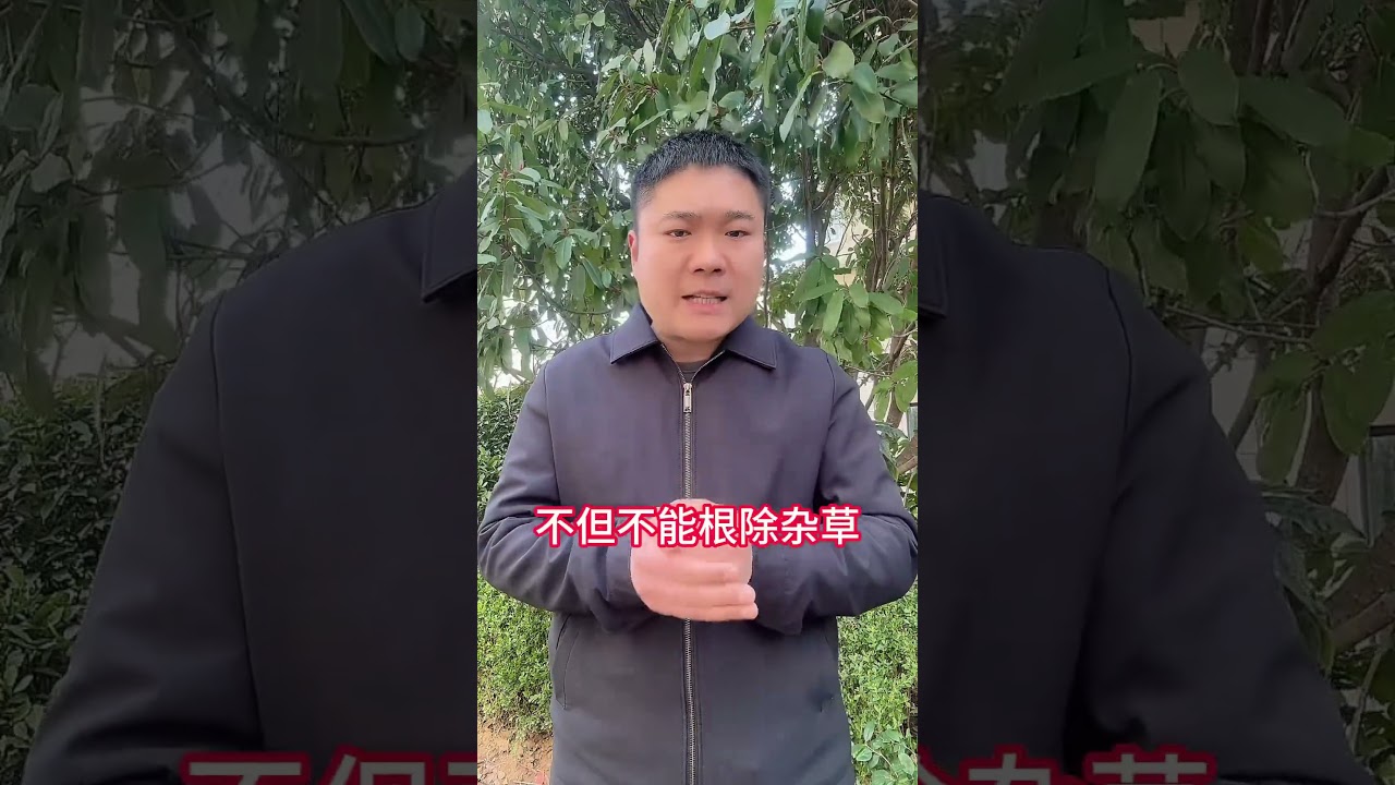 除草烂根配方，死叶烂根不反弹除草除草剂除杂草农业种植果园除草