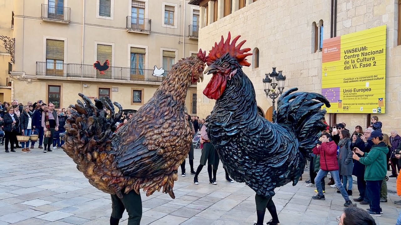 Gall TOMASOT i Gallina BALLARICA 25è aniversari Mostra Bestiari Festiu de Ploma (358a Fira del Gall)