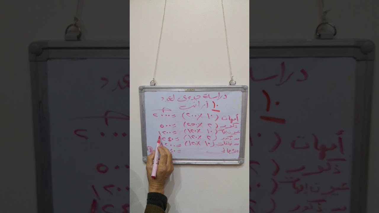 دراسة جدوي لمشروع أرانب