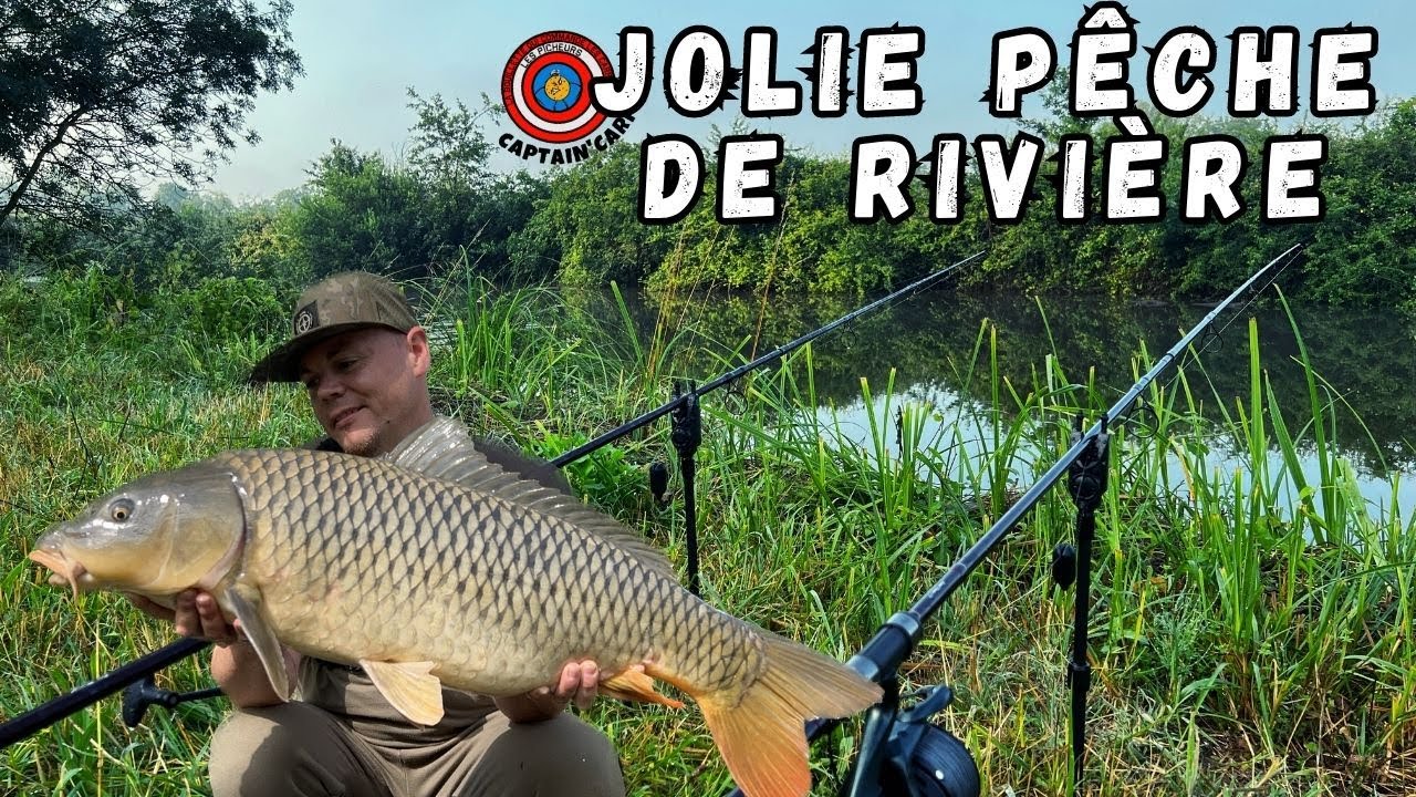 Les carpes sont actives sur la rivière