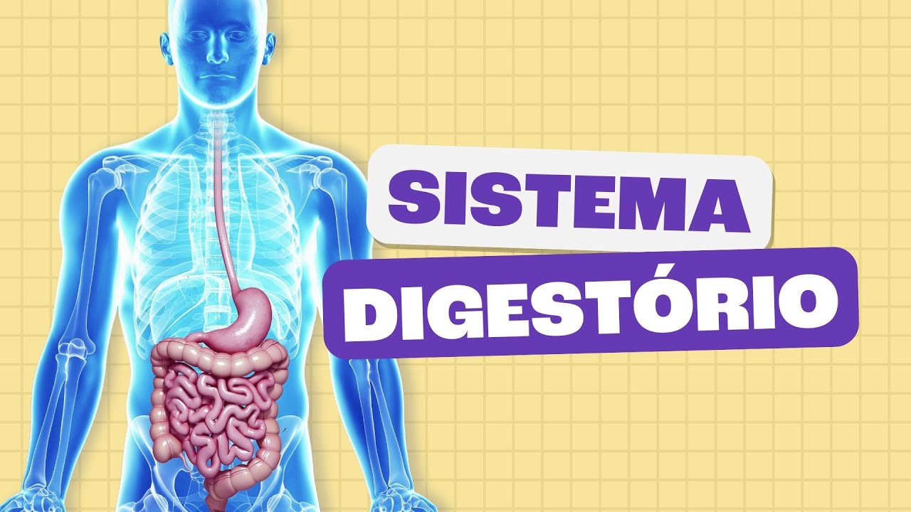 Sistema Digestório - Toda Matéria