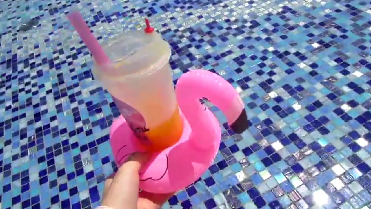 Flamingo Adventure Montage 2017