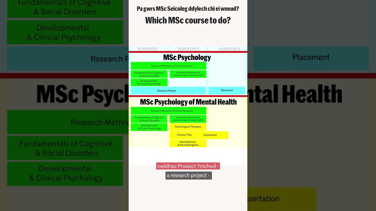Comparing MSc Psychology conversion courses at Cardiff University