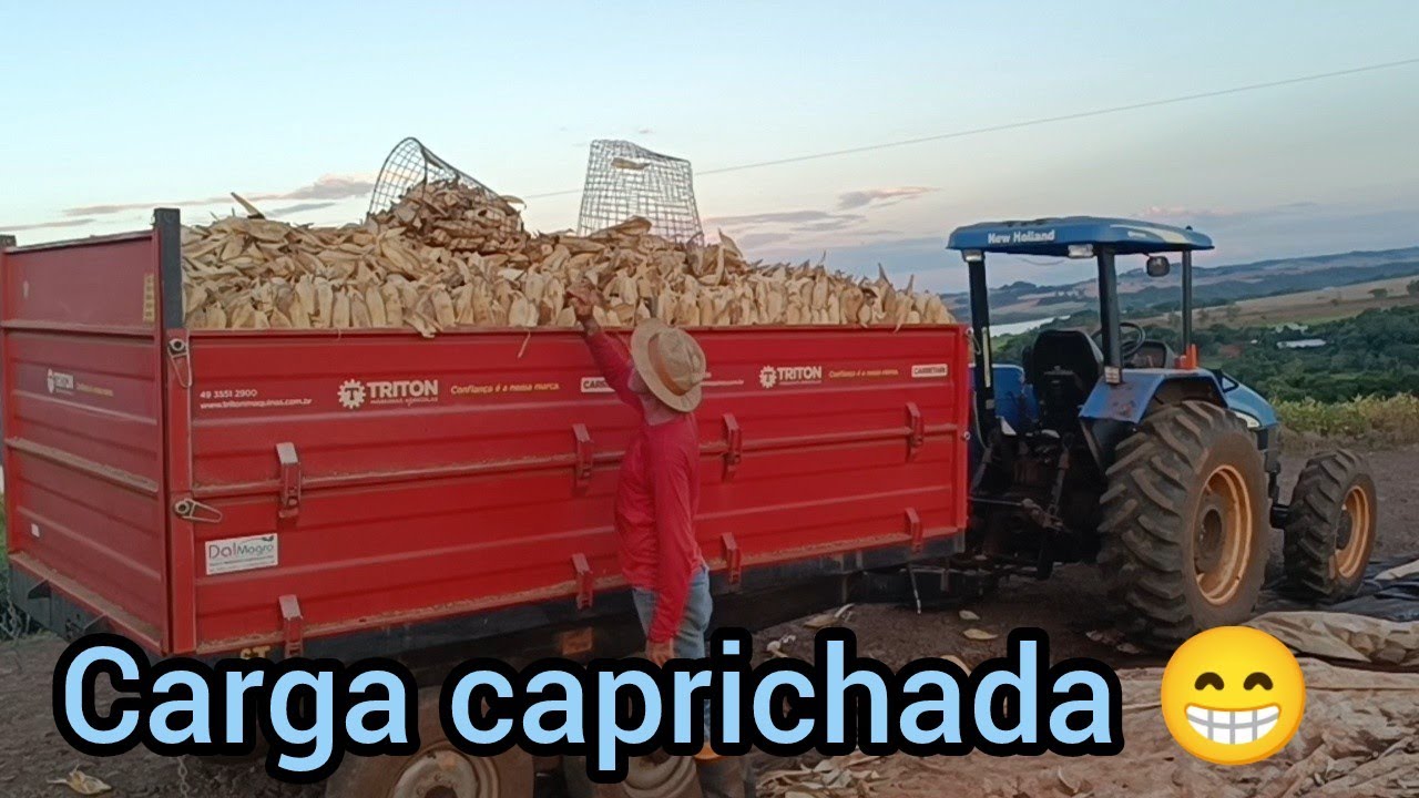 Fechando o pasto onde tinha silagem e carregando o milho na carreta.