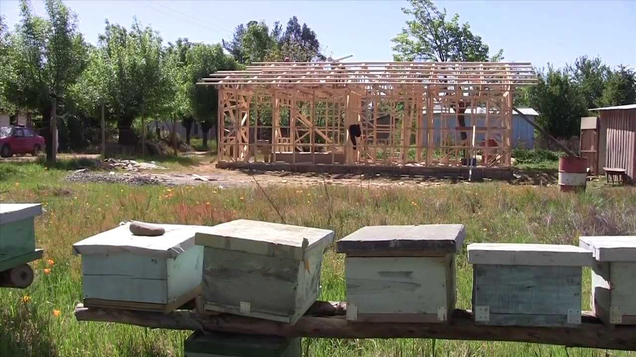 Red de Terra Madre en Chile: Apicultores de Miel de Madroño