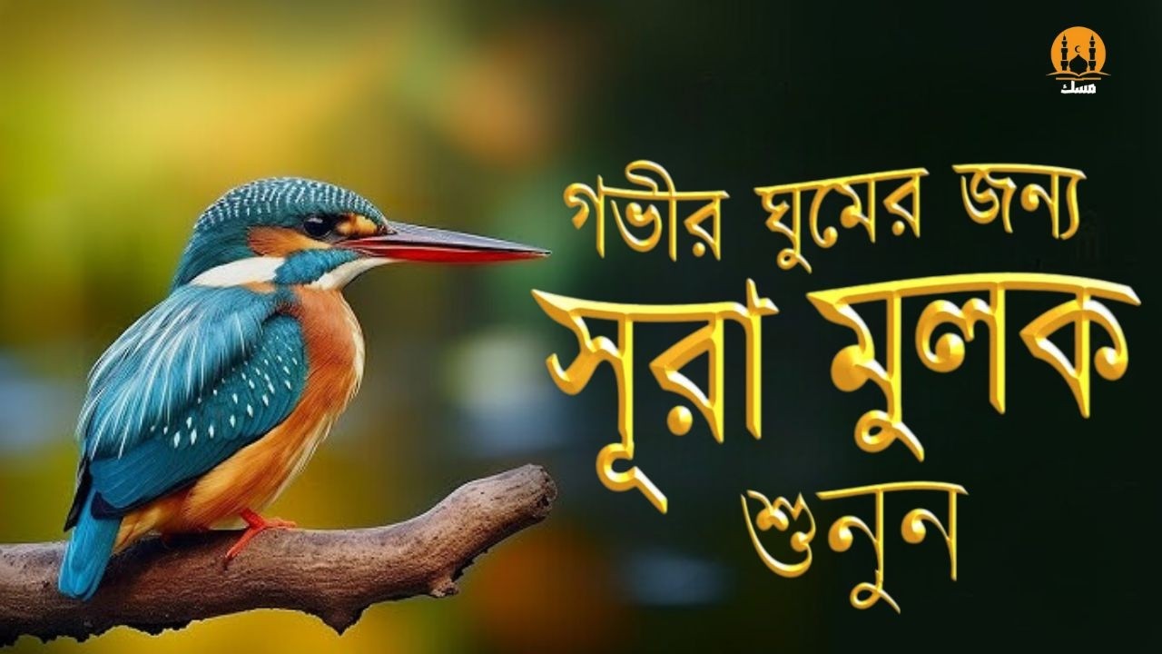 ঘুমানোর আগে সেরা কুরআন তিলাওয়াত ২০২5। Best Quran Tilawat Before Deep Sleep- Alaa Aqel