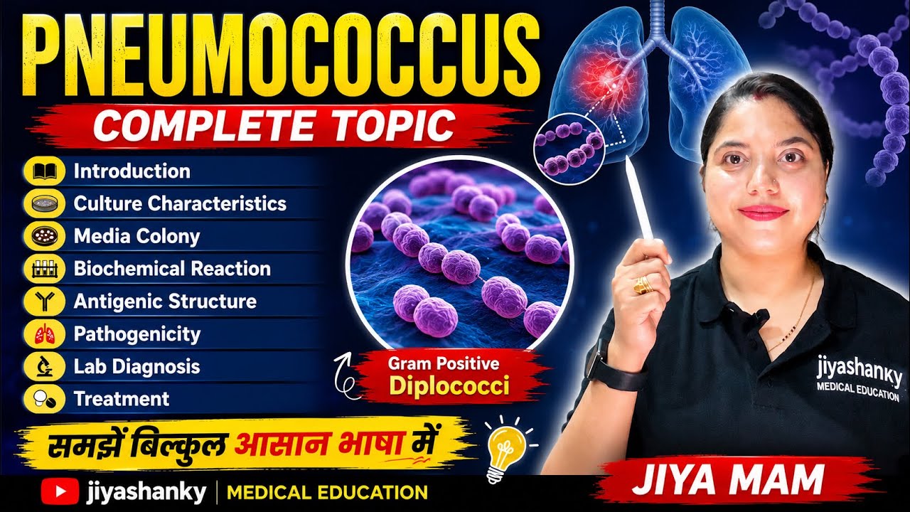 Pneumococcus gram positive bacteria in Hindi | Pathogenicity | Lab Diagnosis | MLT | Nursing