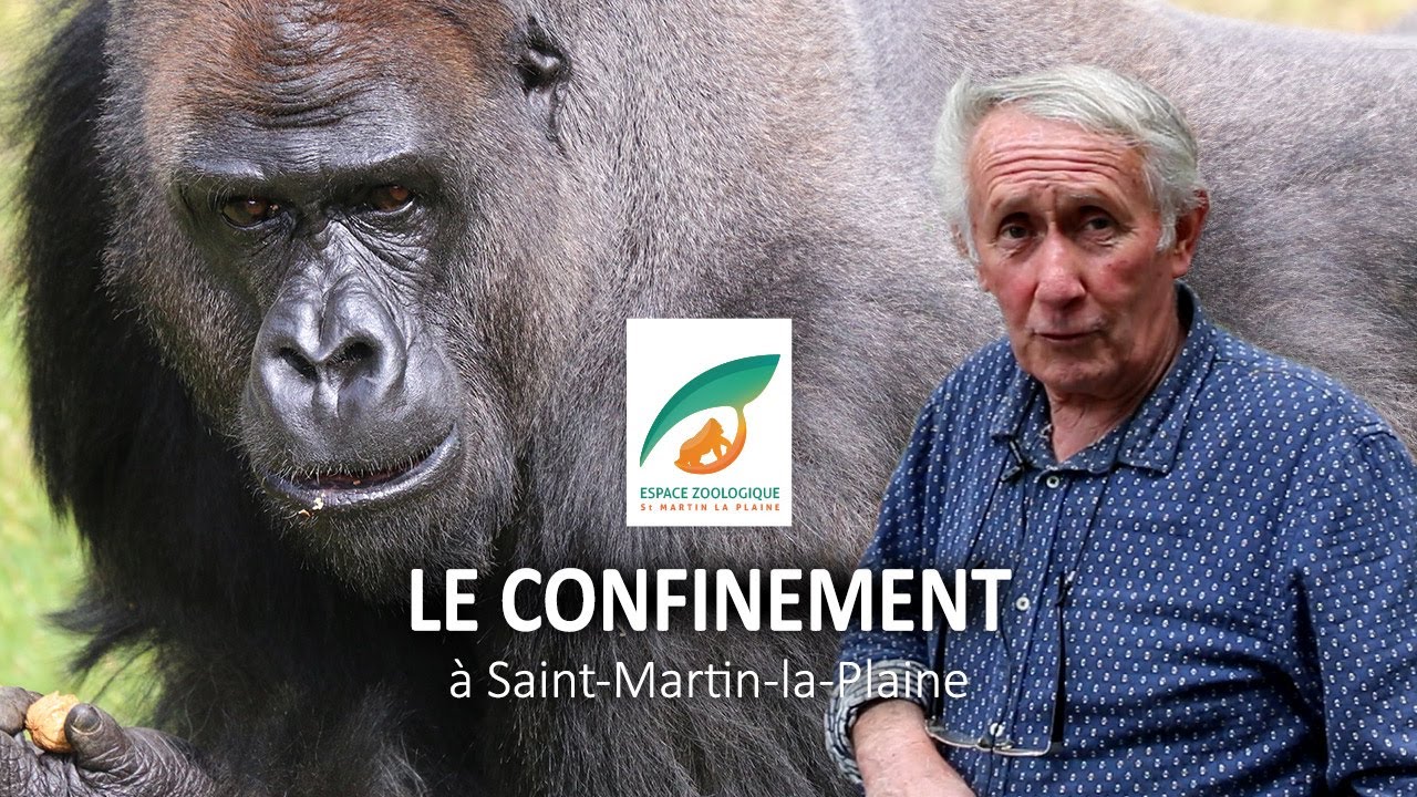 Le confinement à l'Espace Zoologique de Saint Martin la Plaine