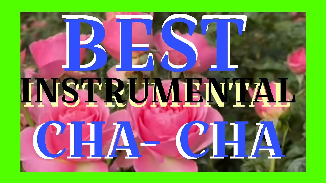 BEST INSTRUMENTAL CHA-CHA 