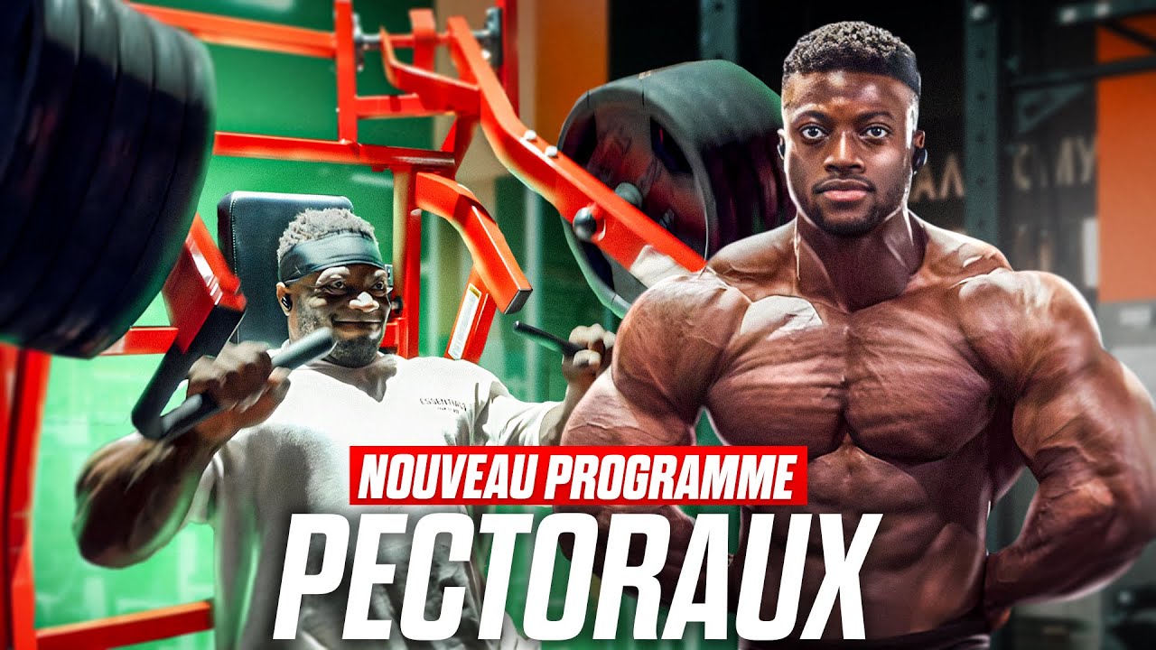 Mon nouveau programme pecs et bras : court et intense !
