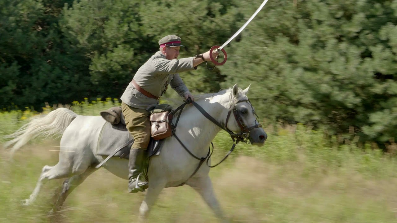 The Polish Lancers (Cavalry & Classic)