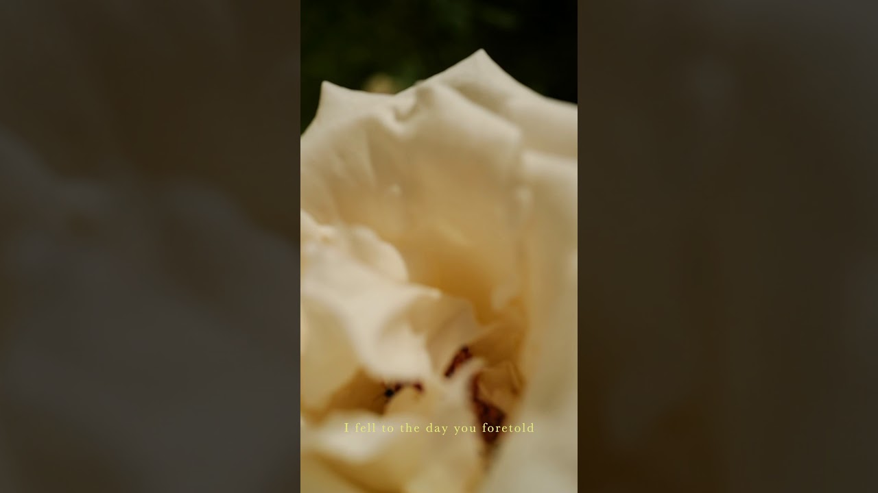 Mu Tun&ccedil;- G&uuml;ne D&uuml;şt&uuml;m G&ouml;lgeden /  I fell from the shadow, into the day