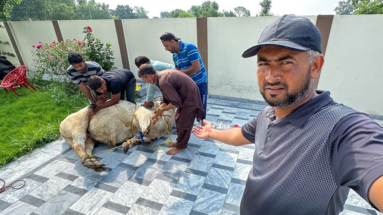Eid ul Adha Mubarak (2023)