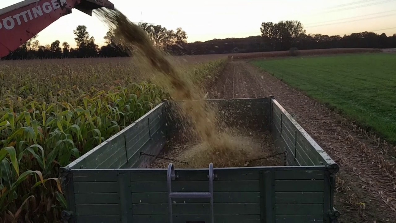 John Deere mit P&ouml;ttinger MEX II am Mais h&auml;ckseln 2016