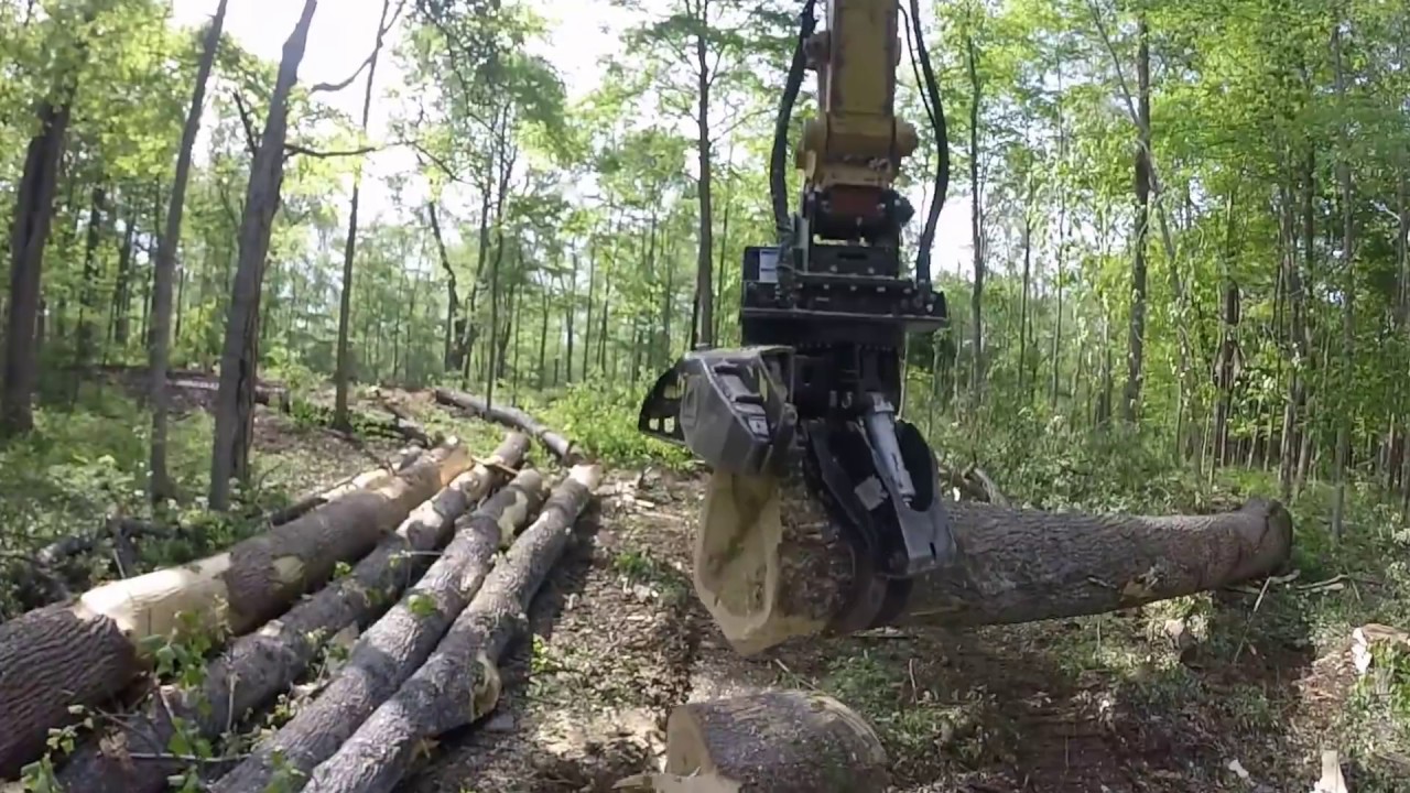 Mechanical logging in gravy!!