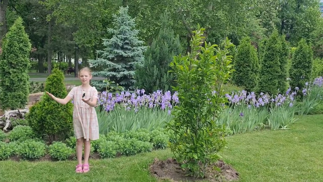 Anastasia Ursu - Ruga pentru Parinti (Adrian Paunescu)