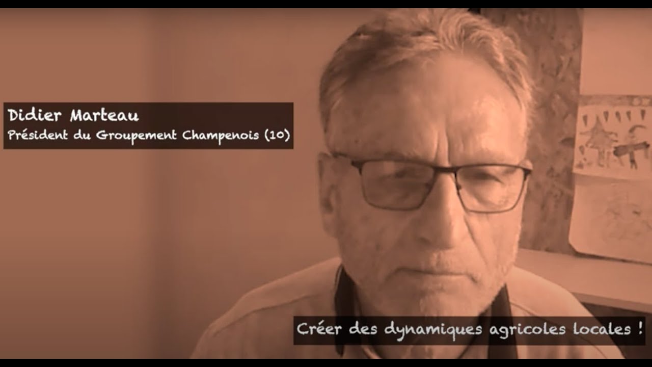 C’est le moment de relancer la culture du peuplier !